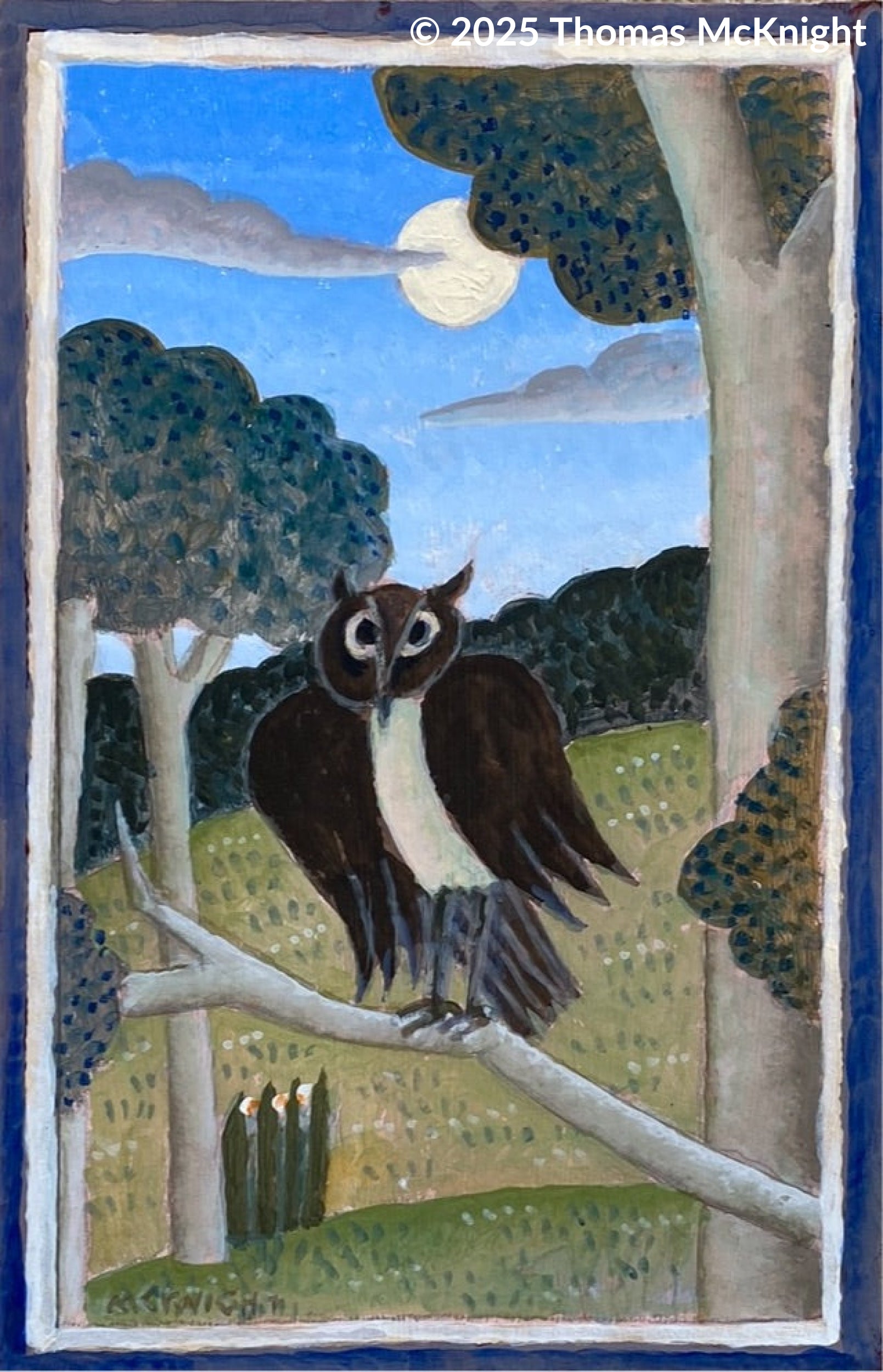 Owl on a tree branch