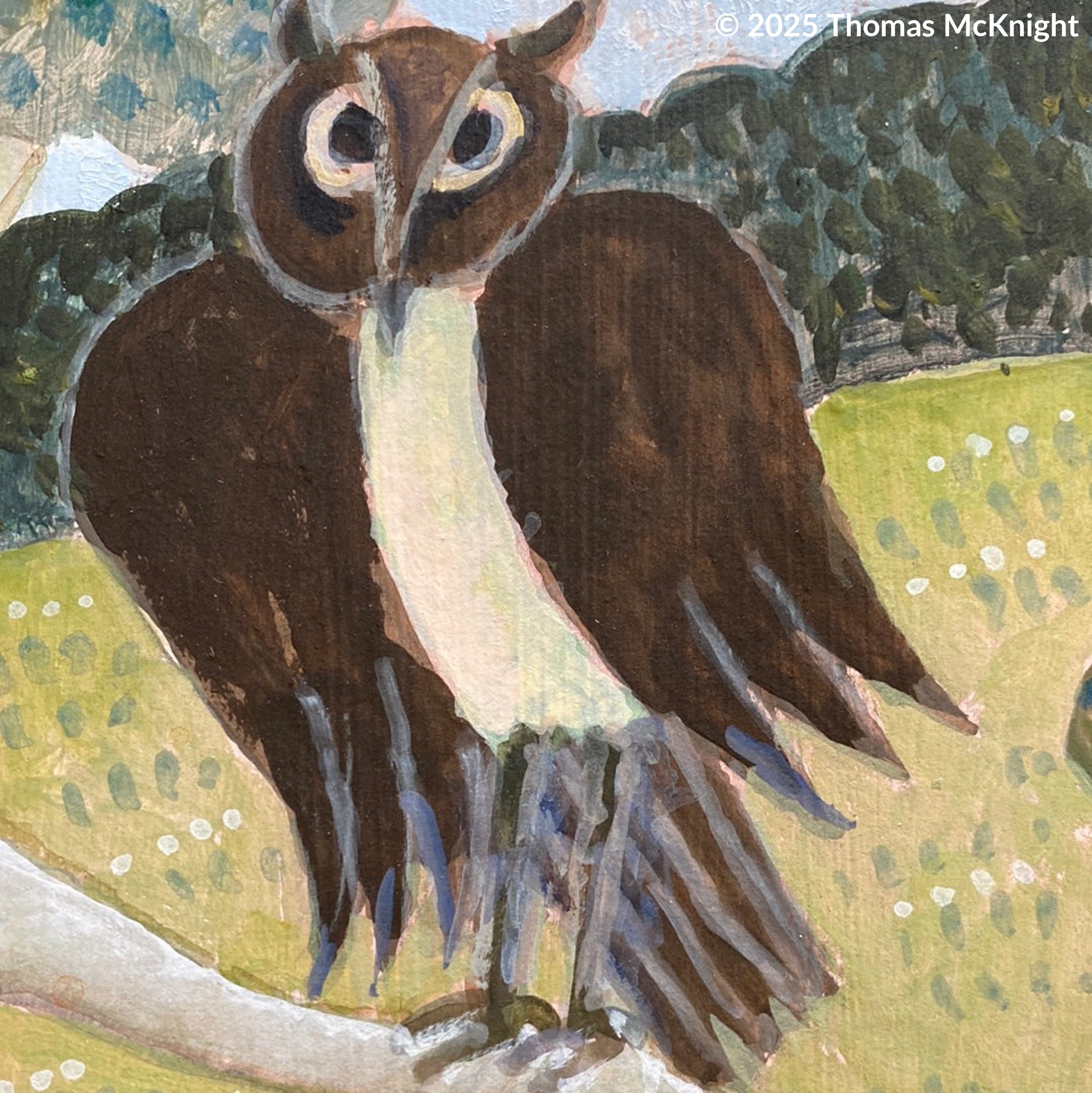 Owl on a tree branch