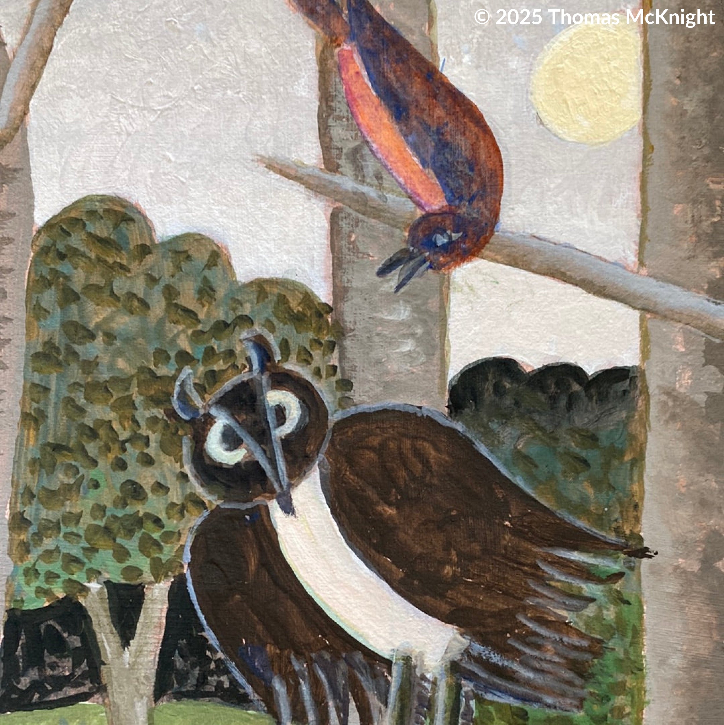 Owl with two birds