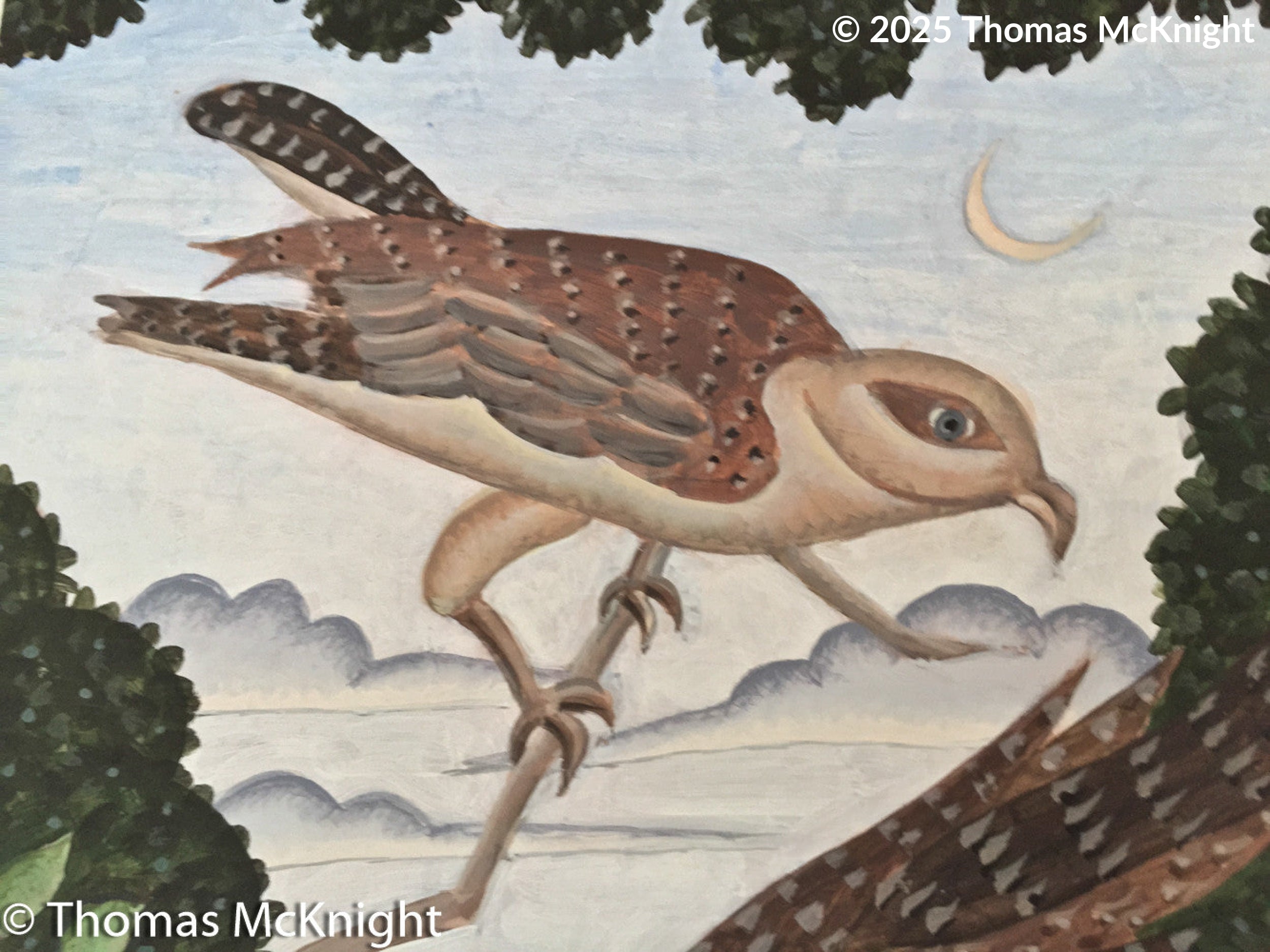 Hawk on branch acrylic on board