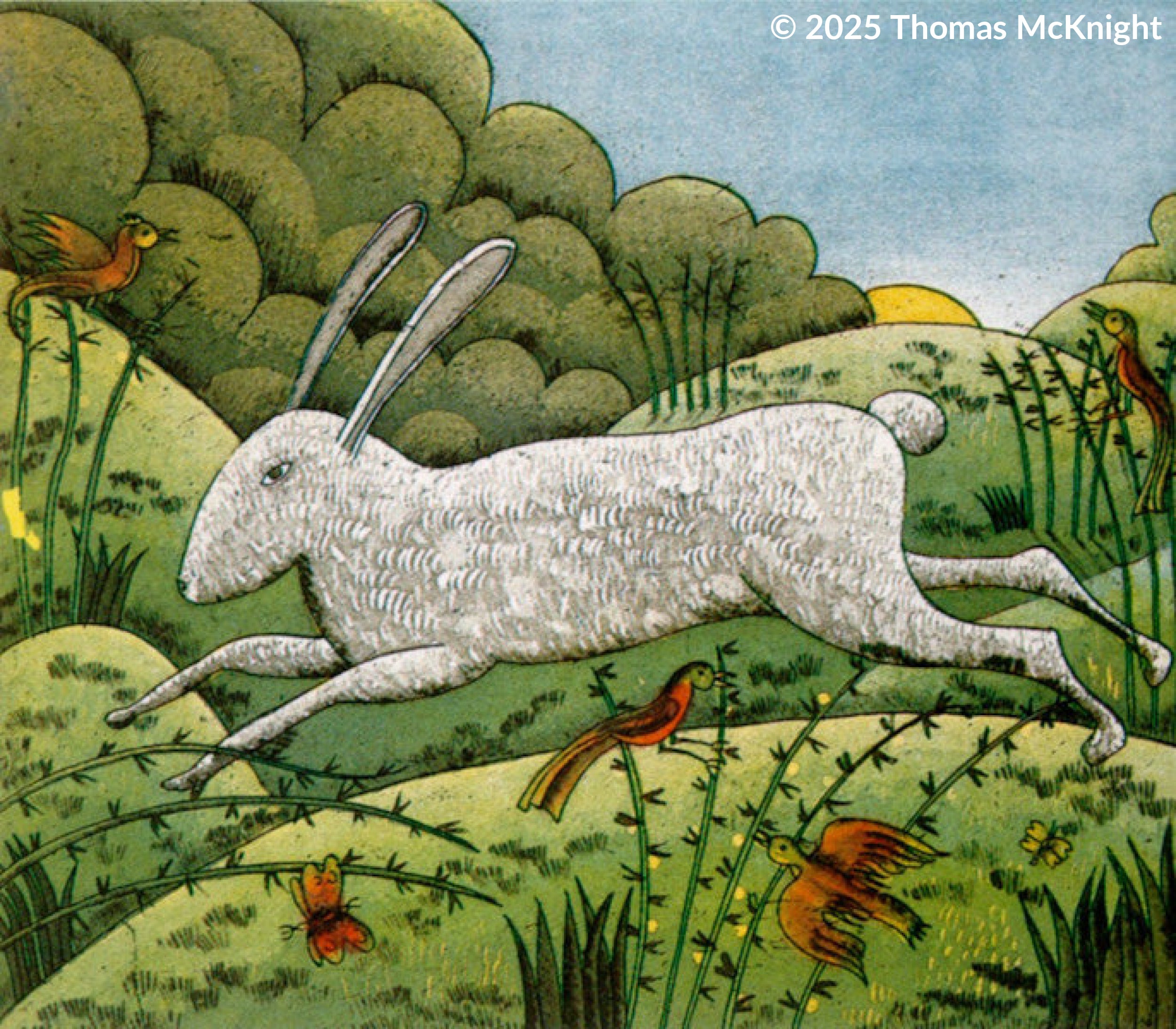 Rabbit