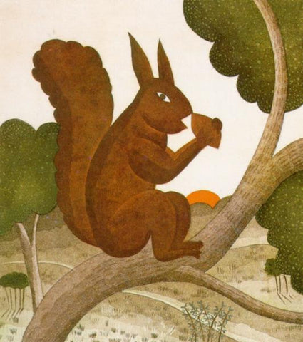 Squirrel